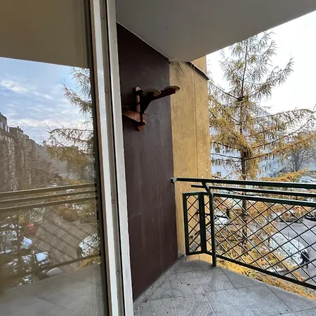 Bema - Centre Homestay *