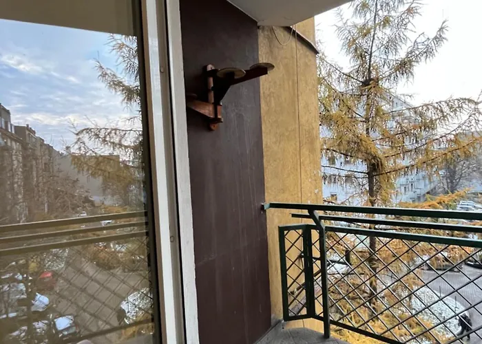 Bema - Centre Homestay *